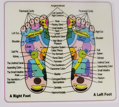 thai foot massage1
